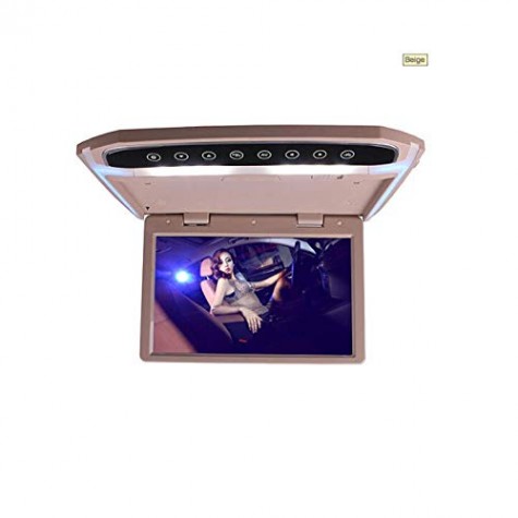 10-inch Roof Monitor