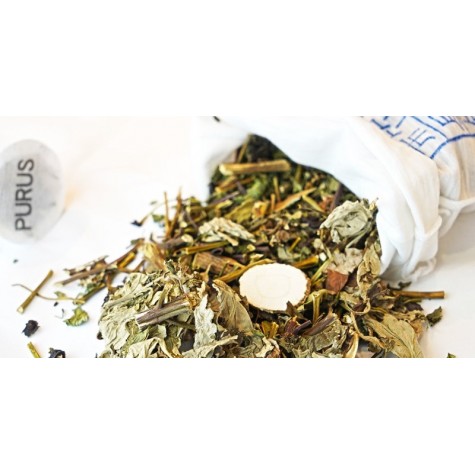 PURUS air i Anti-Mosquito Filter